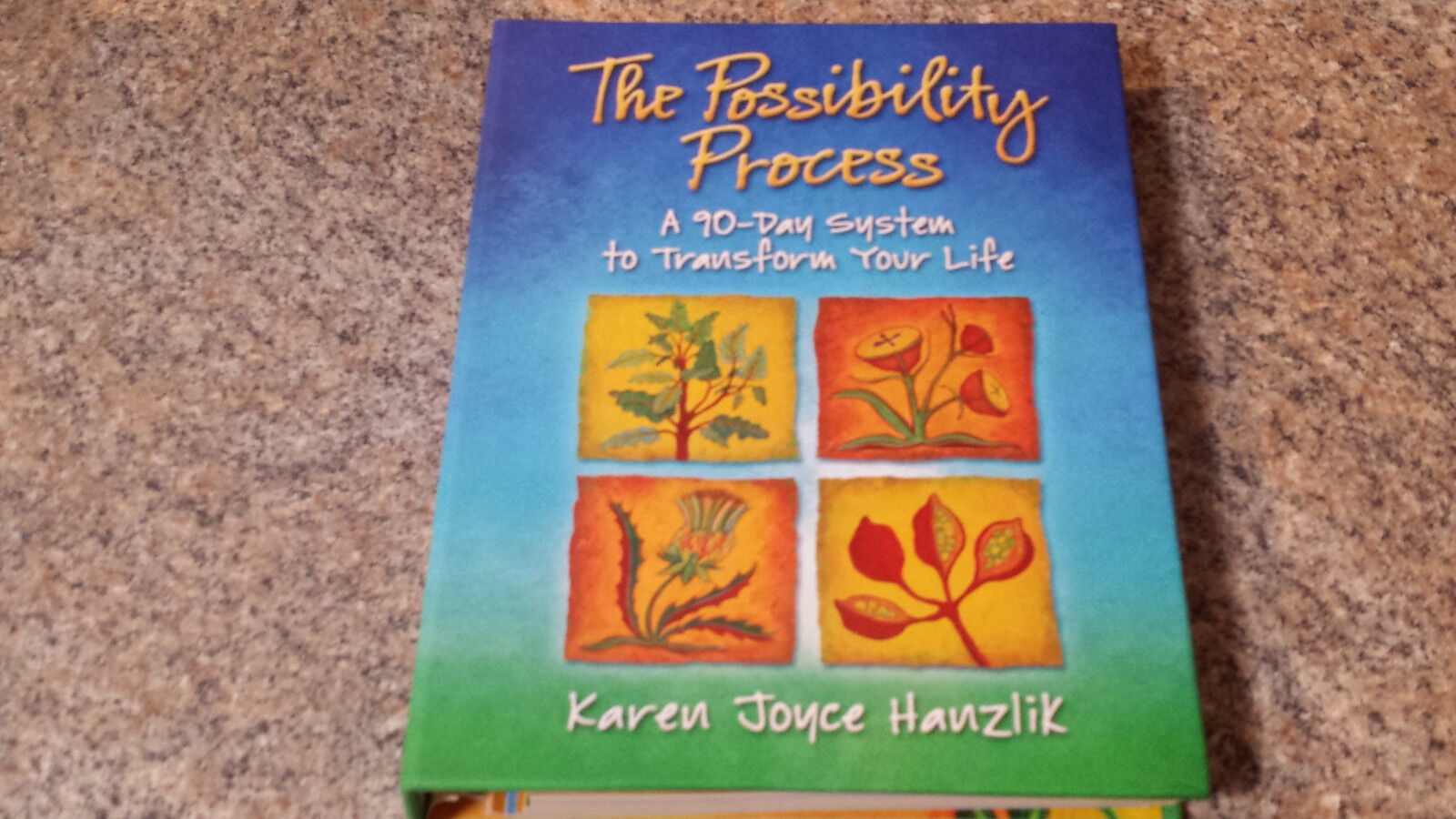 The Possibility Process: A 90-day System To Transform Your Life Karen Hamzlik